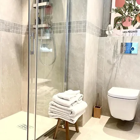 Carre Dorelegant 2 Br דירה ניס