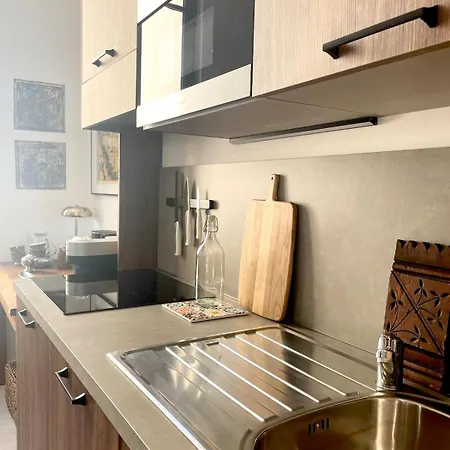 Carre Dorelegant 2 Br Nice